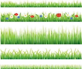 Green grass and flowers vector set