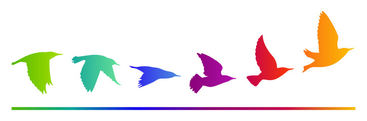 Vogelzug Vektor Silhouette