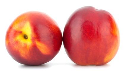 Nectarine fruit isolated on white background
