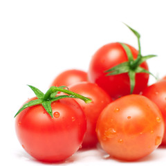 organic tomatoes