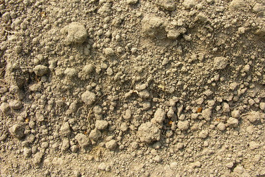 Background with the soil