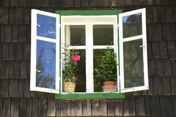 Fototapeta na wymiar Fenster an einem Holzhaus im Brunnbach Tal in Österreich