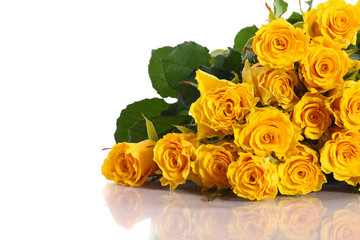 yellow rose