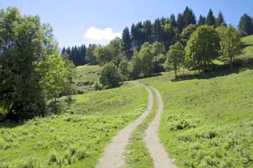 Fototapeta na wymiar Feldweg im österreichischen Hintergebirge bei Großraming