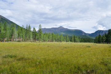 Fototapeta premium Grassy valley along the mountain ridge.