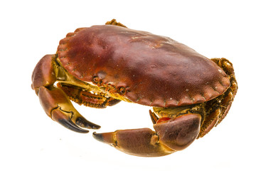 Raw crab