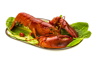 Large Lobster