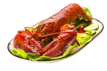 Large Lobster