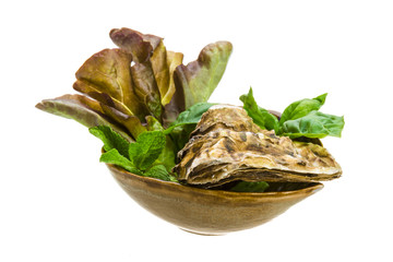 Fresh oyster
