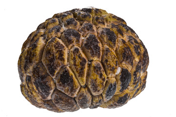 Custard-apple