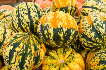 Carnival squash colorful display at market