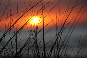 Fototapeta premium Dune Grass with Lake Huron in Background at - Sunset - Grand Bend, Ontario, Canada