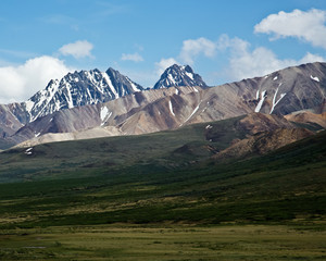 Fototapeta premium Alaska's Denali National Park