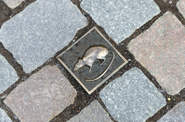 Hameln. Mouse