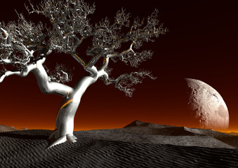 Fantasy - Silber-Baum in der Wüste mit Mond