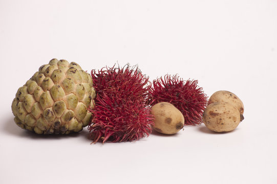 Sweet Apple, Rambutan and Lanzones