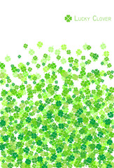 lucky clover on white background