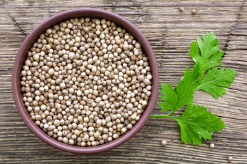 Coriander