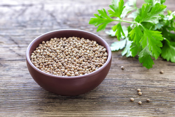 Coriander
