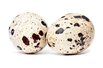 Obraz premium Quail eggs