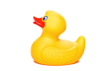 Rubber Duckling