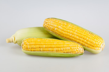 Corn Isolated