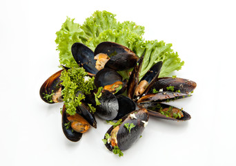 Mussels