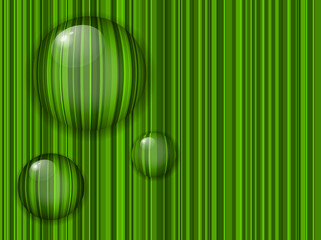 green abstract background water drop on grass
