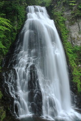 Fototapeta premium 番所大滝