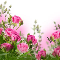 Bouquet of delicate roses, floral background