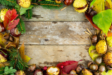 frame with nuts, acorns, chestnuts/autumn/fr uits