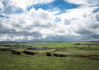 Bushmills - Giant's Causeway