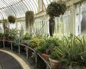 Belfast Botanic Garden