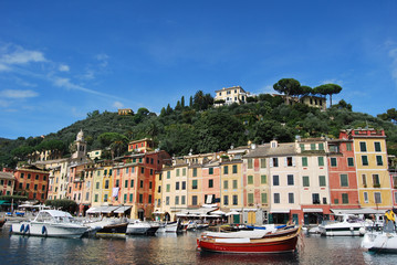 la strada per Portofino