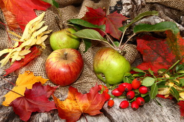 Herbstdekoration mit Äpfel, Hagebutten, Herbstlaub
