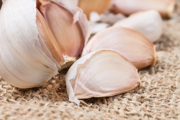 Garlic on burlap surface. Close up.