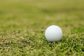 Golf balls in grass