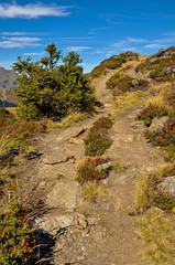 Fototapeta na wymiar Trekkingpfad im Montafon Österreich
