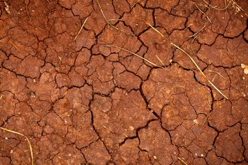 Dry Soil