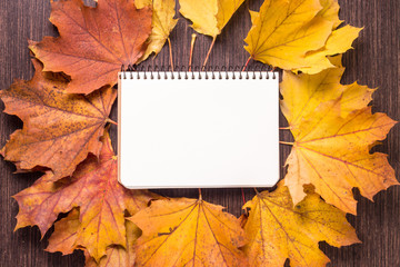 Naklejka na ściany i meble blank notebook sheet with autumn leaves on old wood background