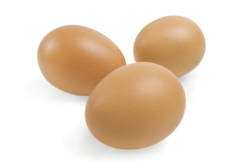 eggs on a white background