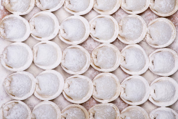 Traditional russian dish - pelmeni