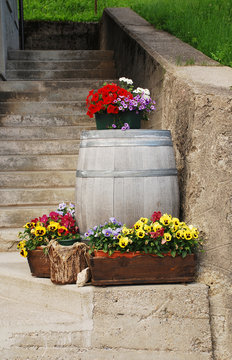 Pansies and Wooden Barrel