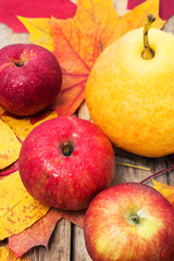 October harvest of apples and pears in fallen leaves