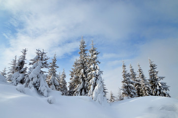 Winter landscape in mountains