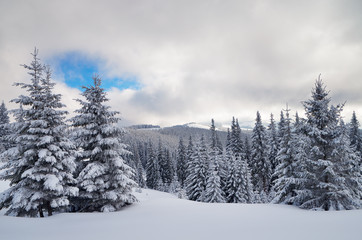 Obraz premium Winter View