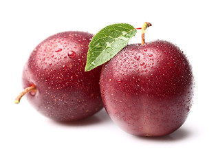 Two ripe plums with water drop