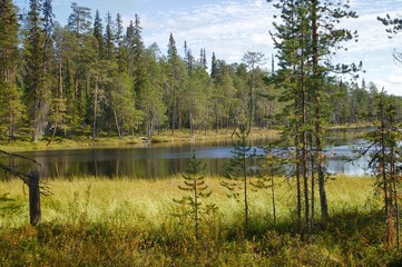 Obraz premium Finnish Landscape