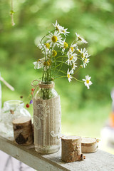 camomiles in vase. rustic style