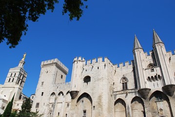 Popes Palace and Notre Dame church in Avignon, Provence, France